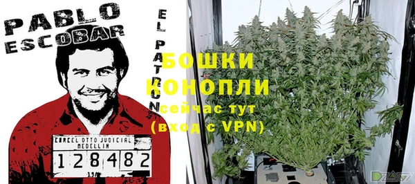 экстази Няндома