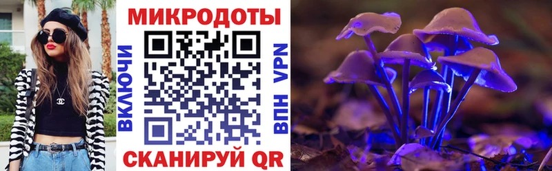Псилоцибиновые грибы прущие грибы  блэк спрут сайт  Пойковский 