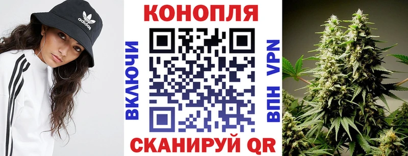 Марихуана семена Пойковский